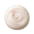 Shiseido Future Solution LX Total Protective Day Cream