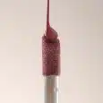 lip04