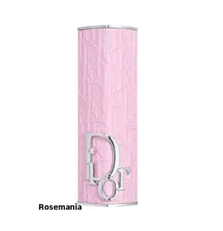 Dior Addict Case – view 6