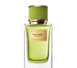 Dolce & Gabbana – Velvet Vetiver Eau de Parfum 50ml