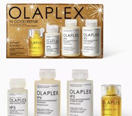 Olaplex In Good Repair Hair Kit