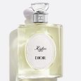 Dior Higher Energy Eau de Toilette 100ml – Dioriginals